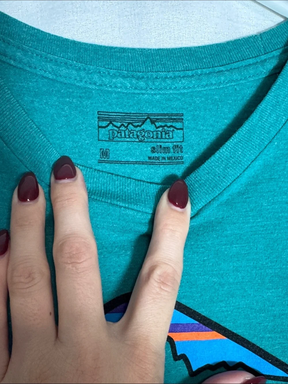 Patagonia Men's Medium Slim Fit Ventura CA Graphic T-Shirt Teal M